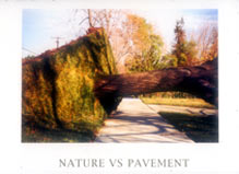 NATURE VS. PAVEMENT